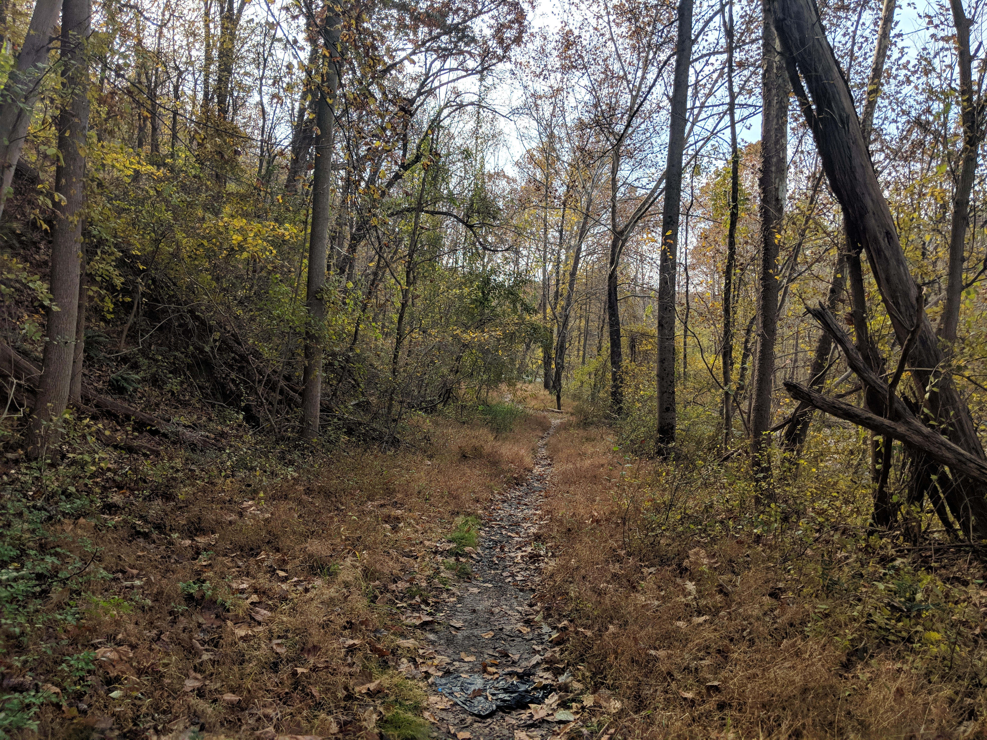 IMG_20181101_120010 IMG_20181101_120010