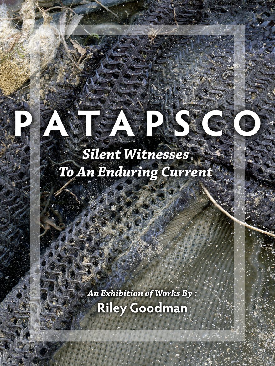 Patapsco-Banner-Small