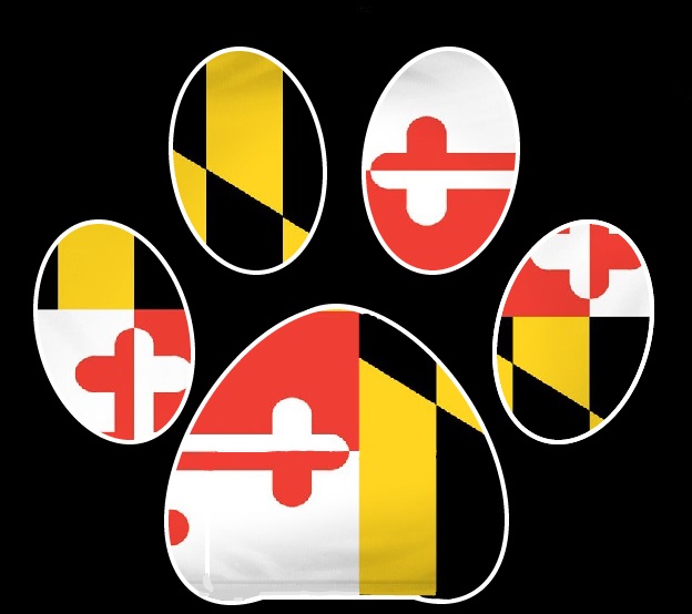 Paw-Iso