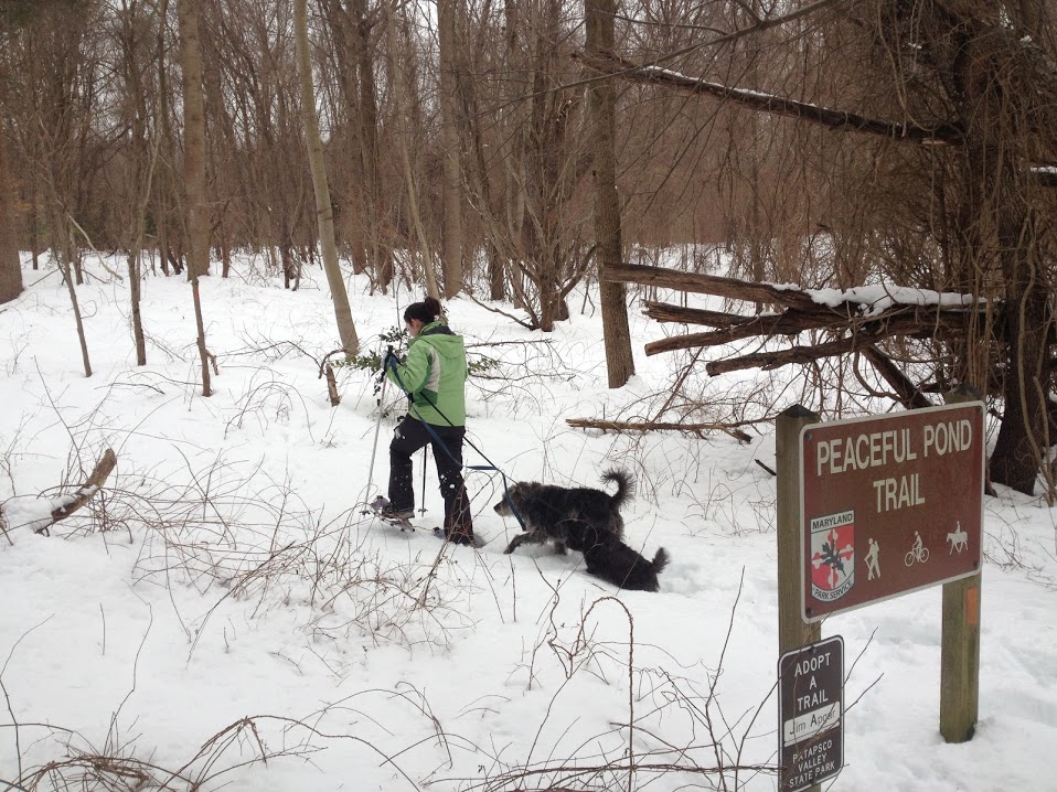 Peaceful-Pond-Trailhead