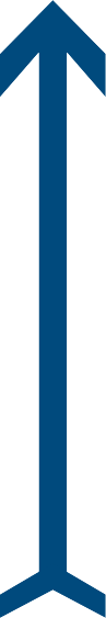 arrow arrow