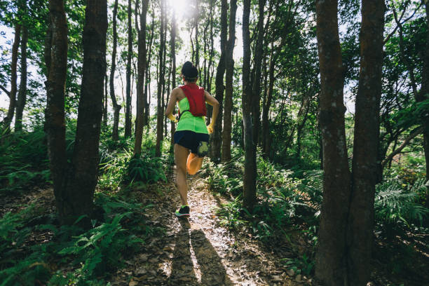 Young woman trail runner running in sunrise tropical forest